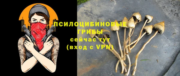 трава Алексин