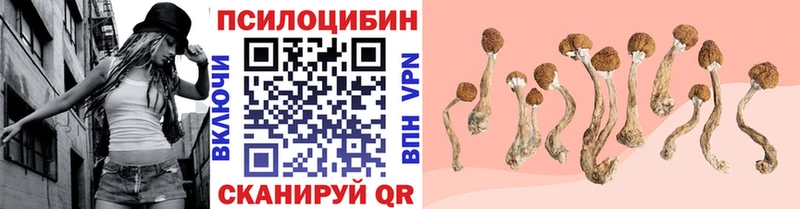 кракен как войти  купить  сайты  Снежногорск  Галлюциногенные грибы мицелий 